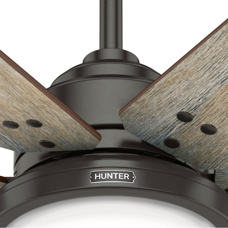 Hunter Ragalian Hunter Fan 60