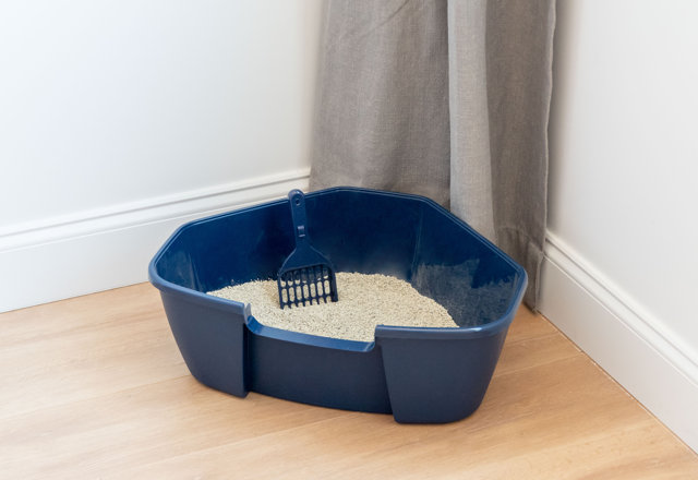 Litter Boxes for Less