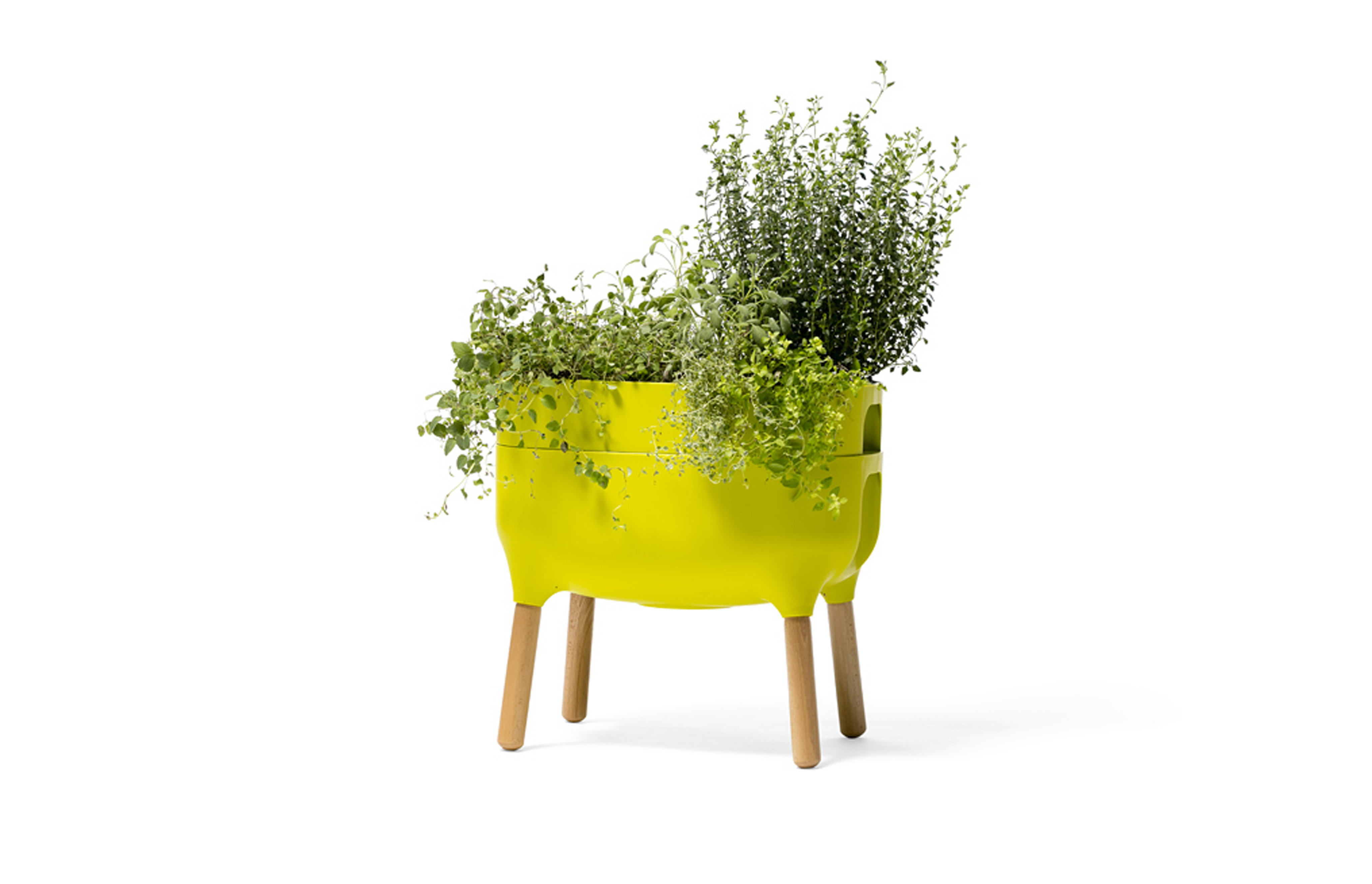 Alfresco Home 15 Gal. Plastic Odor Resistant Indoor Worm Bin & Reviews