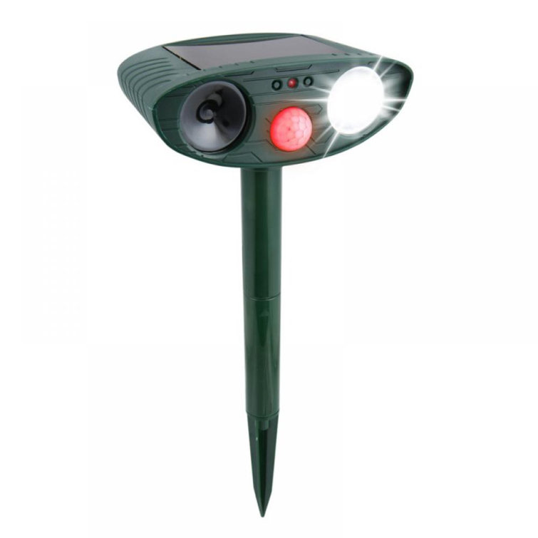 ultrasonic motion activated cat