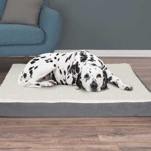 Sealy Ultra Plush Sofa-Style Bolster Orthopedic Dog Bed Gray Large 32 x 42 