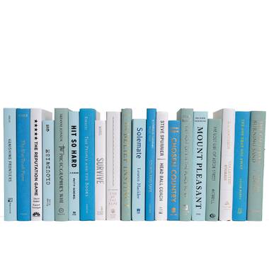 Modern Decorative Books by color & foot