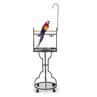 Choose Your Size Birds LOVE Hand Crafted Coffeewood Bird Cage Perches for Small Medium OR Large Parrots 