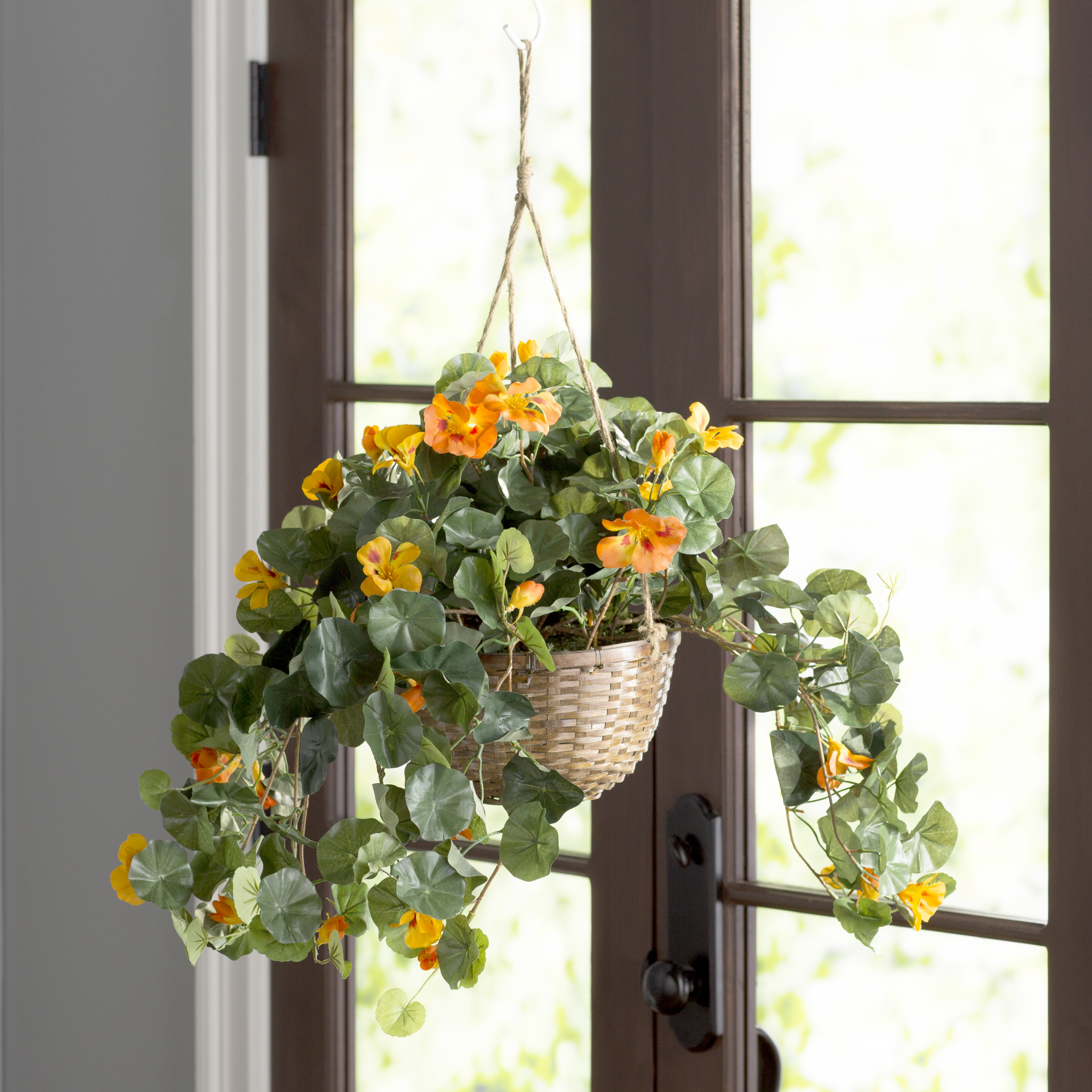 August Grove® Nasturtium Mixed Hanging Basket & Reviews | Wayfair
