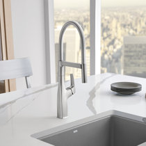 Wayfair | Pre-Rinse Blanco Kitchen Faucets You'll Love in 2022