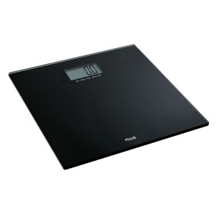 Travel Weight Scale | Wayfair