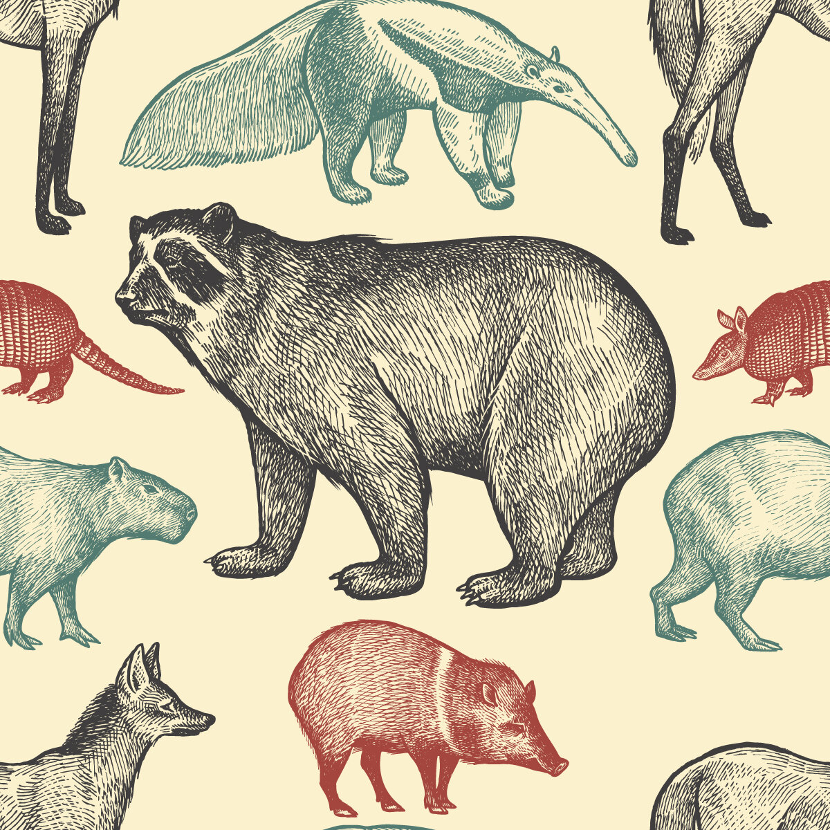 Red Barrel Studio® Exotic Animals Wallpaper Peel & Stick Floral Wallpaper |  Wayfair