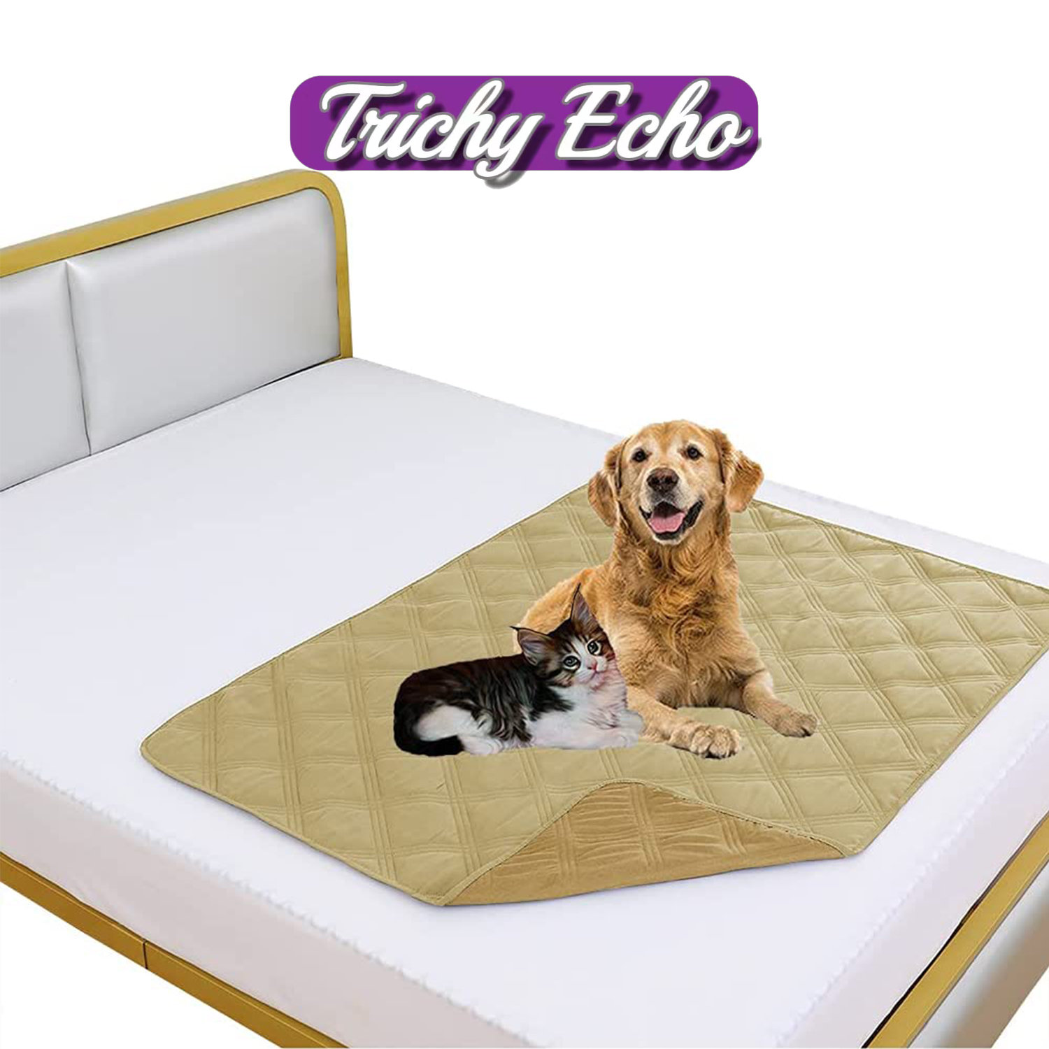 How Often Should I Wash Dog Bedding