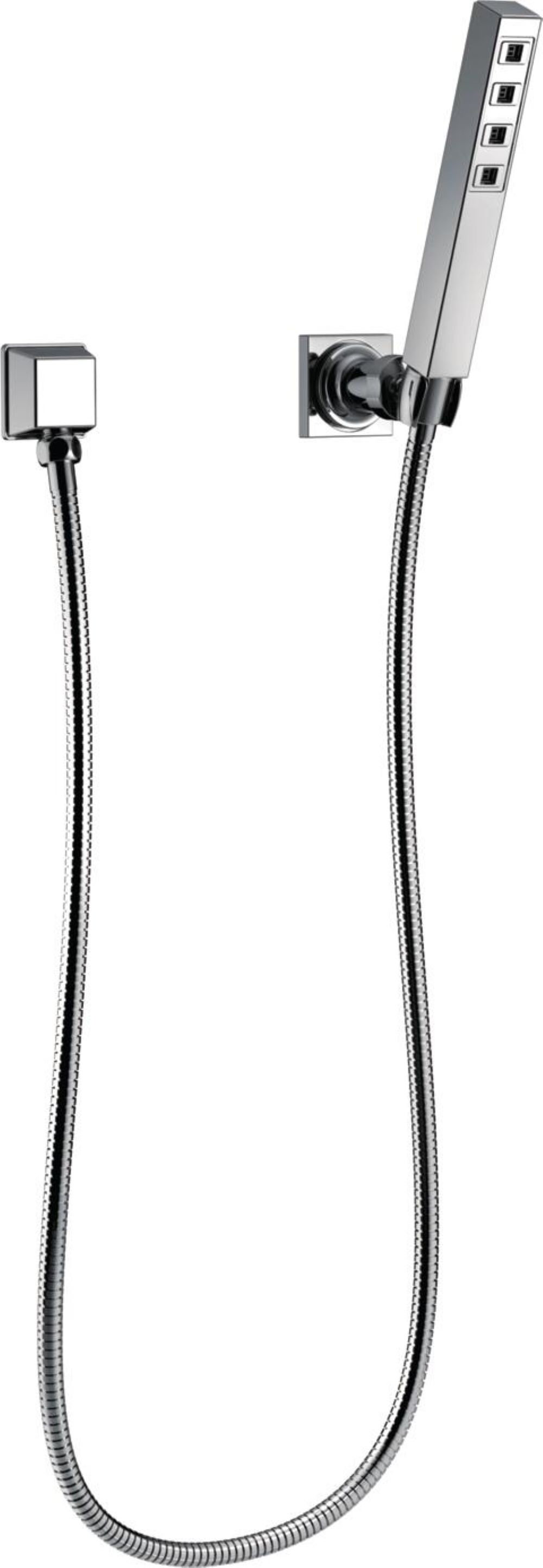 Delta Hand Shower with Technology Wayfair