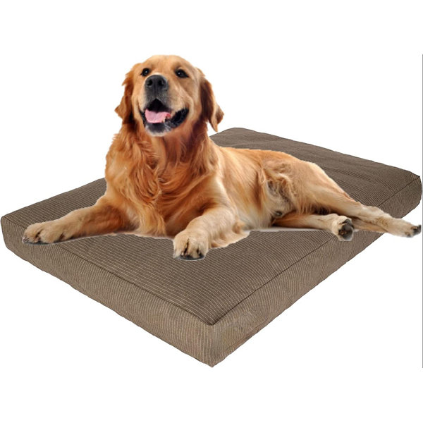 large canvas dog bed