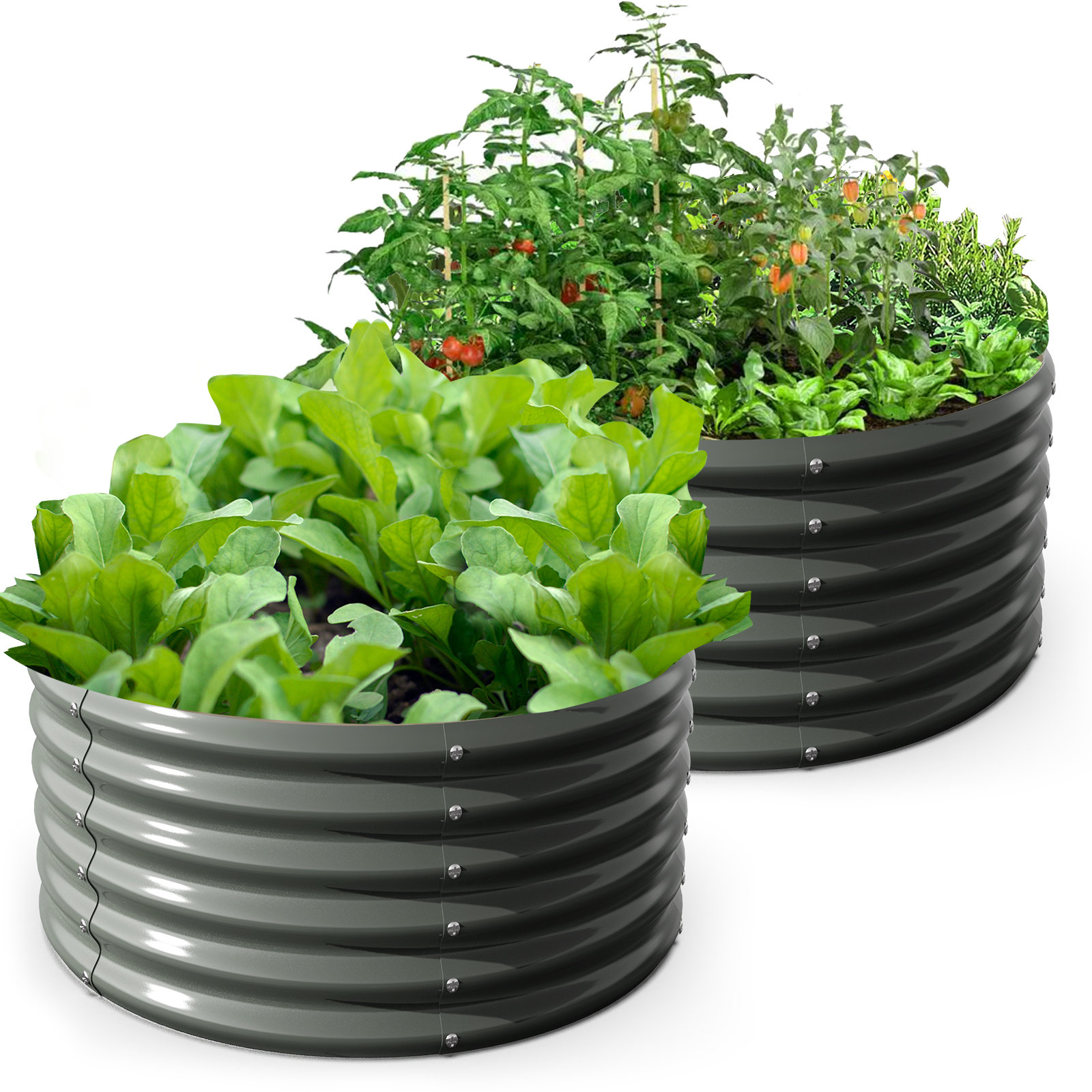 Red Barrel Studio® 48 ft x 48 ft Keyhole Composting Raised Garden Bed Wayfair