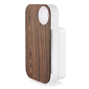 Wayfair | Air Purifiers You'll Love in 2022