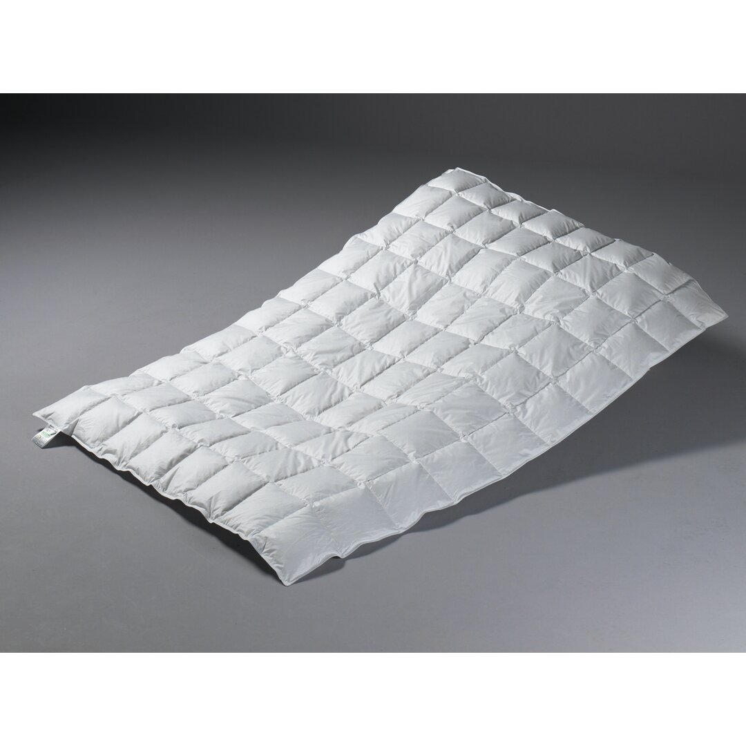 Light Quilted Down & Feather Blend Duvet 