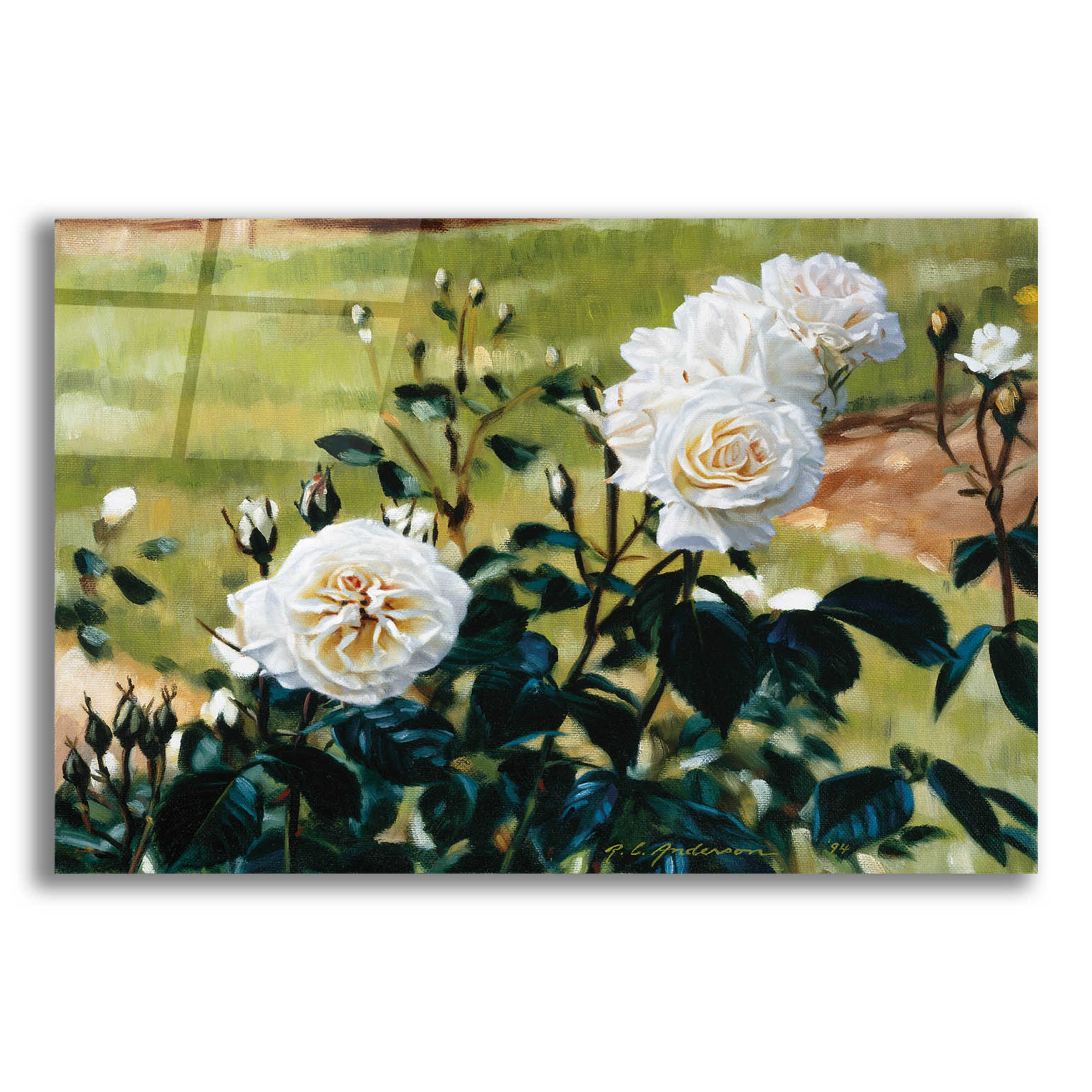 House of Hampton® Epic Art 'White Roses' By Robin Anderson, Acrylic White Roses by Unframed
