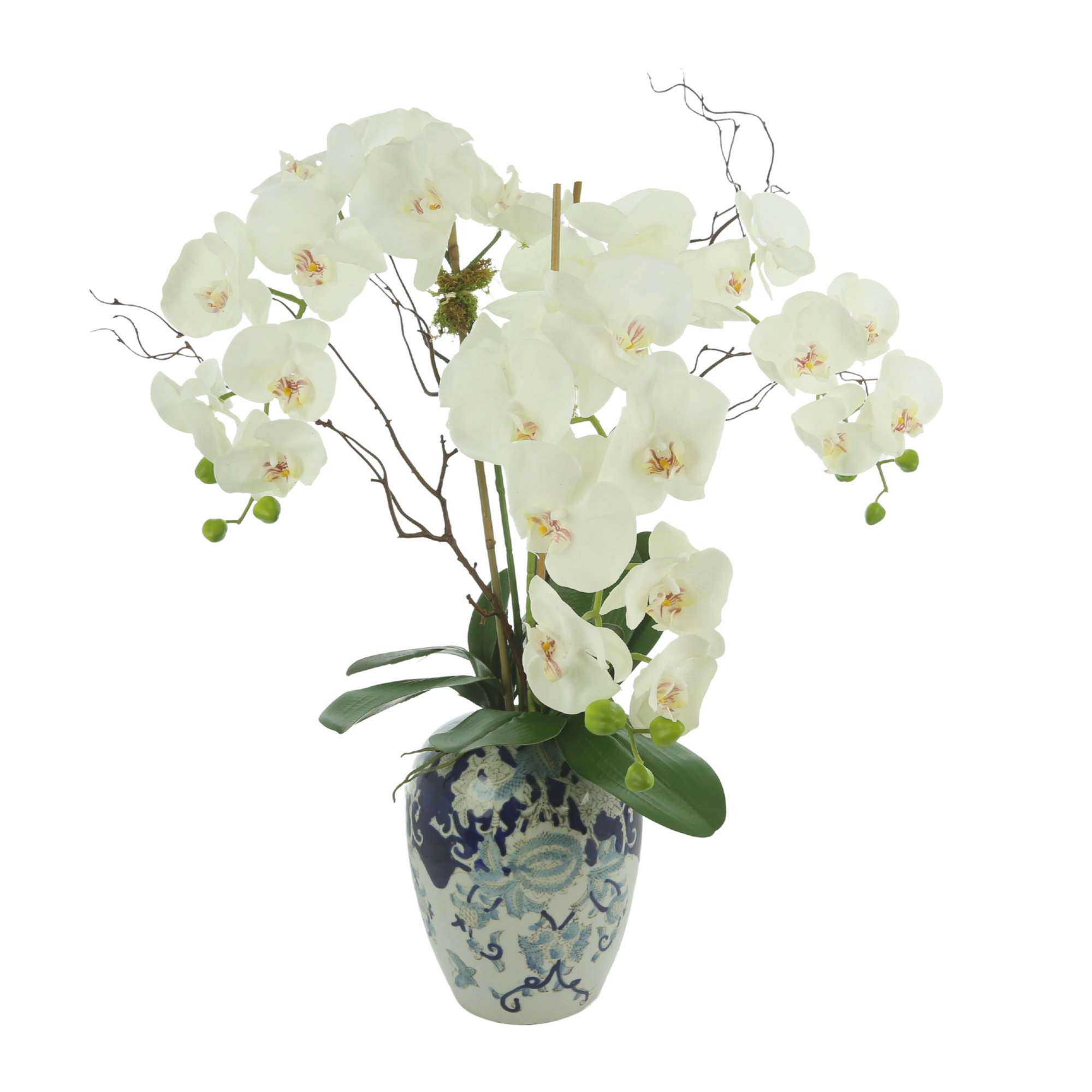 Primrue Orchid Arrangement in Vase | Wayfair