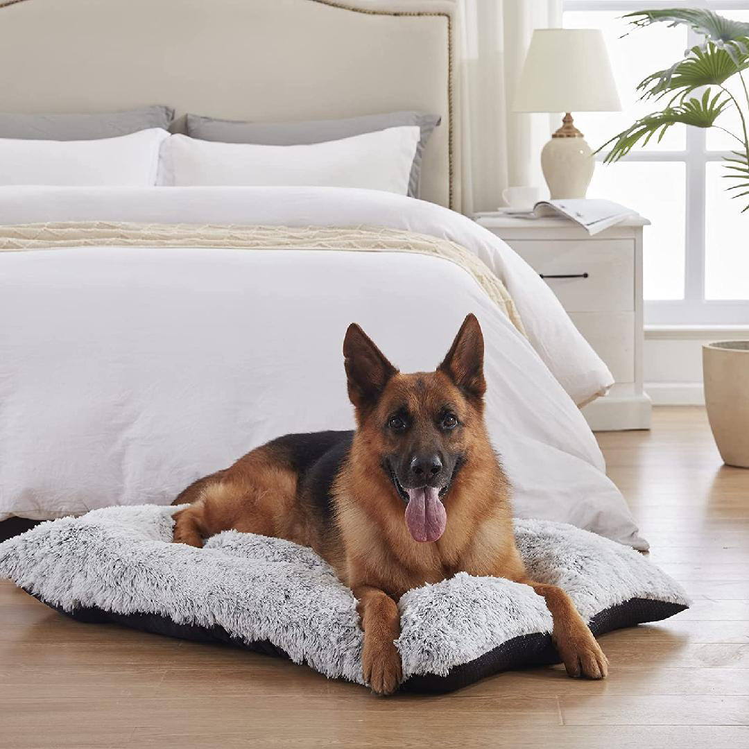 anxiety beds for large dogs