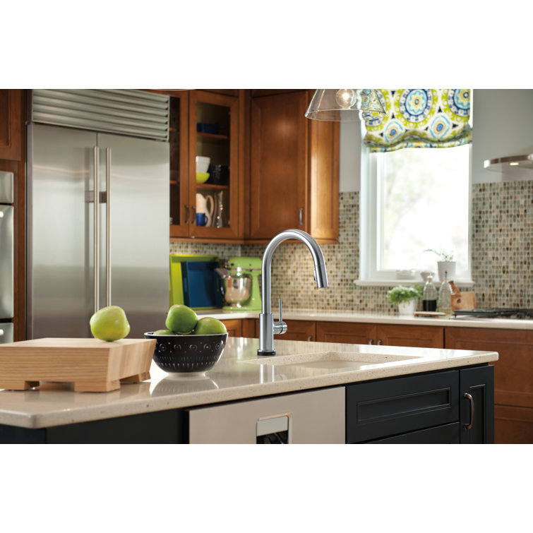 Trinsic Pull Down Single Handle Kitchen Faucet with MagnaTite ...