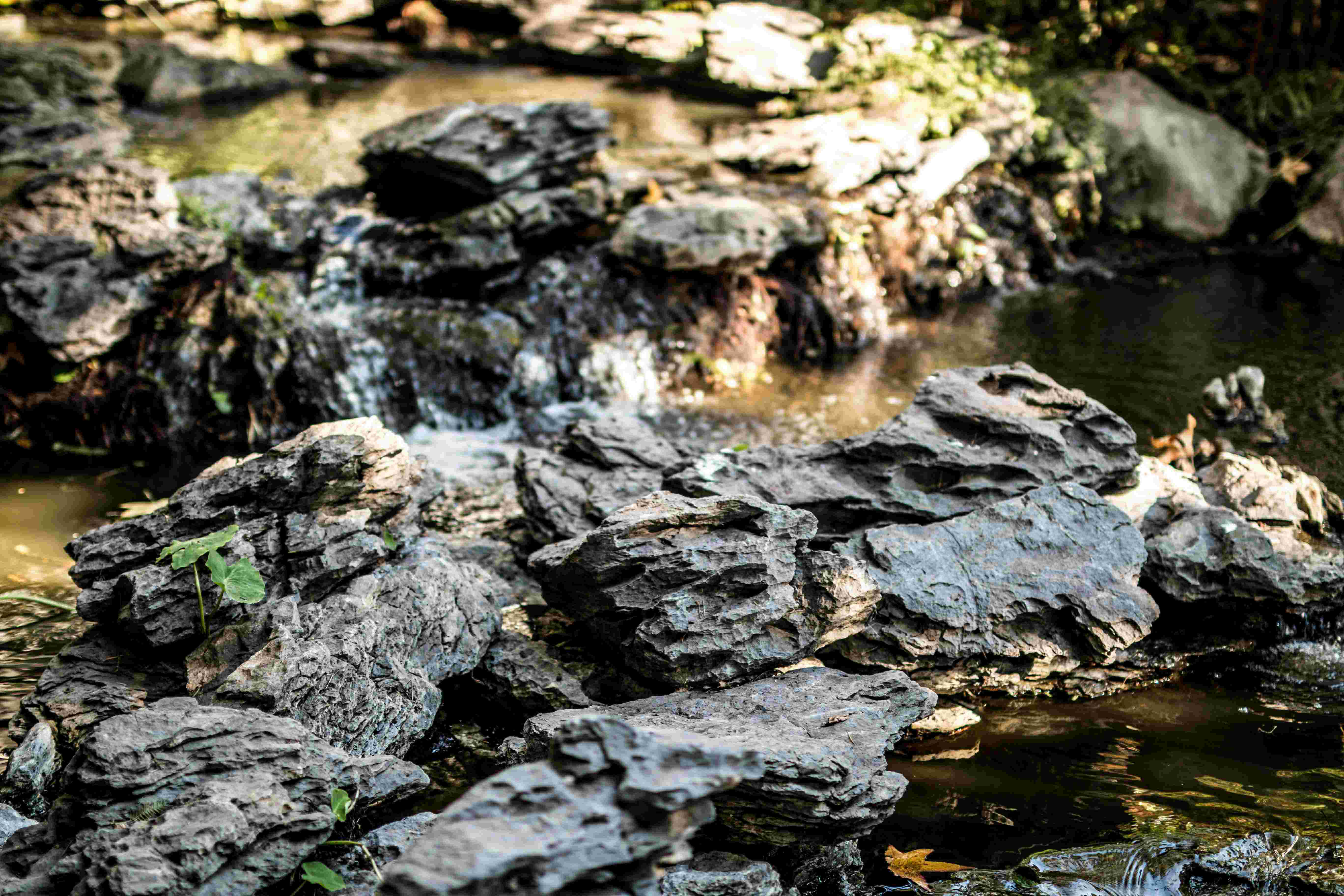 Millwood Pines River Rocks Photography - Wrapped Canvas Photograph ...