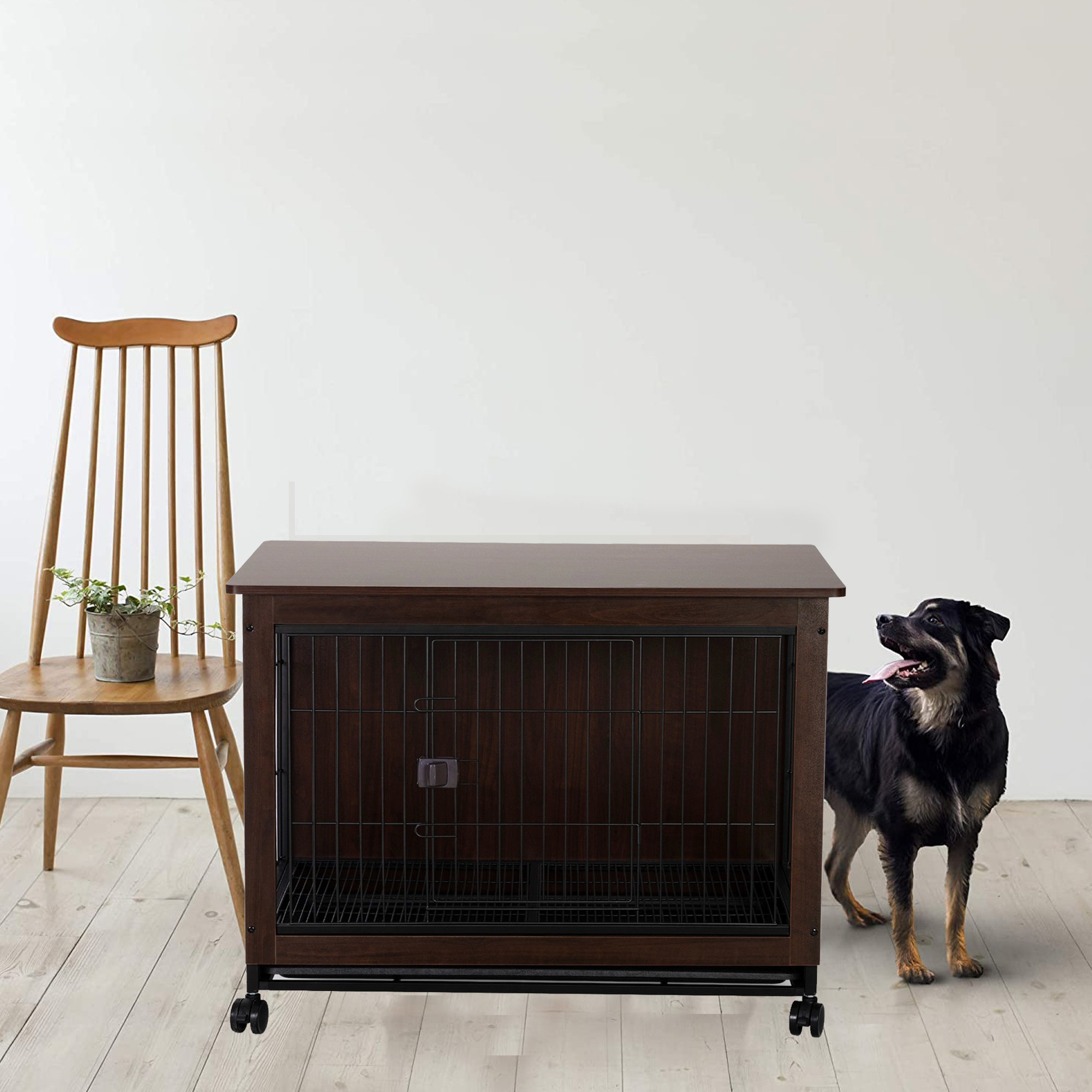 When Should I Get Rid Of My Dogs Crate