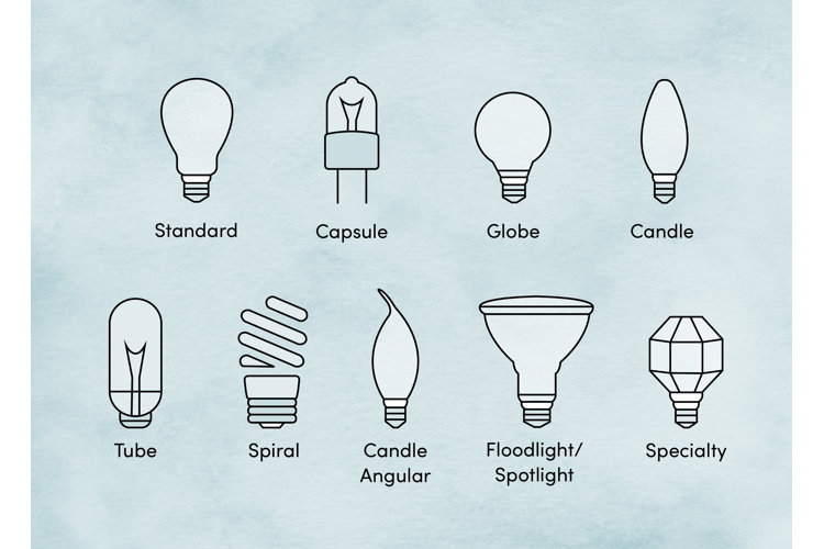 aflivning Professor læser Types of Lightbulbs: How to Choose the Right One | Wayfair
