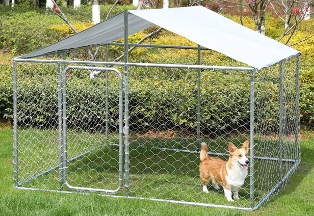 Outdoor Dog Kennels for Less