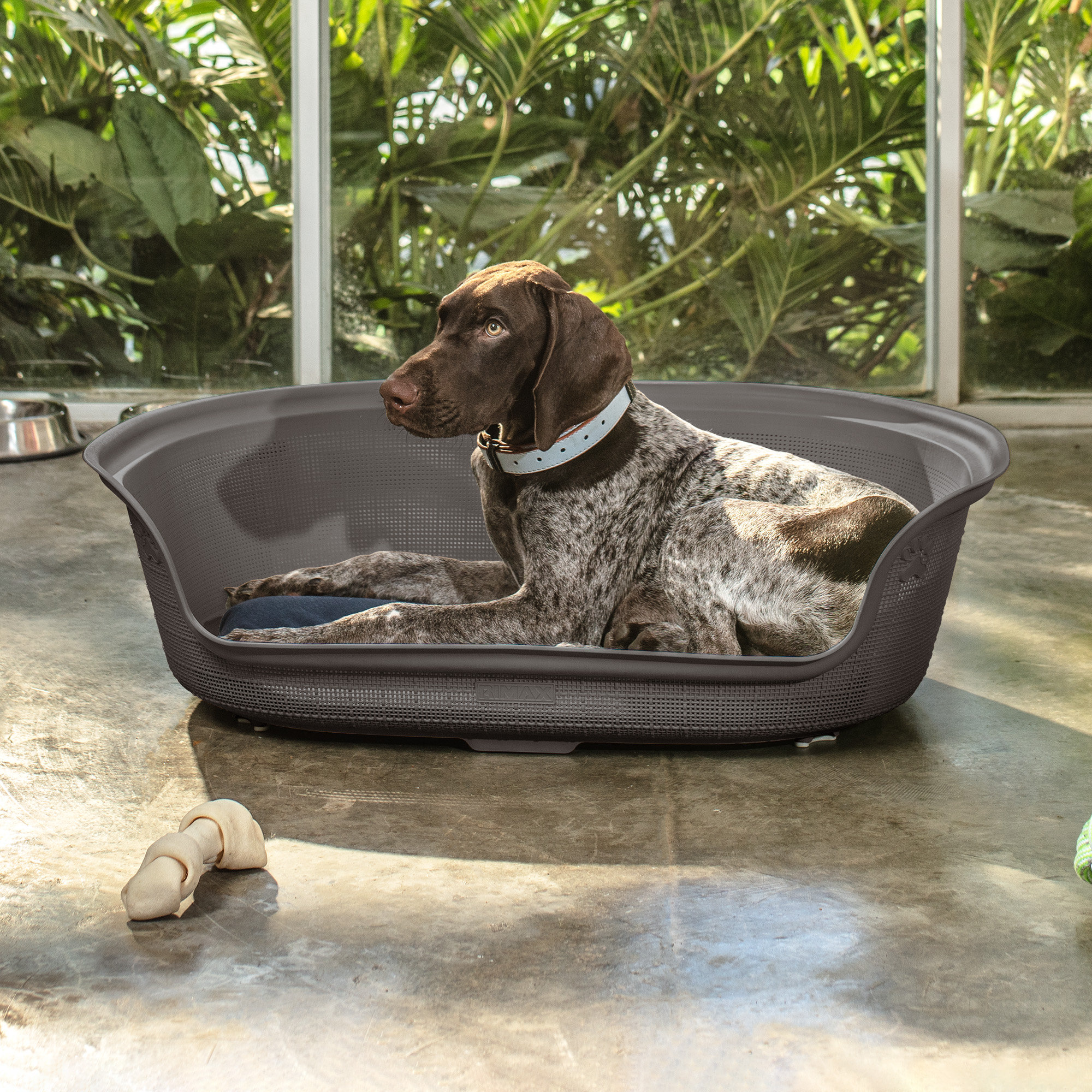 Tucker Murphy Pet™ Plastic Medium Dog Bed with Cushion Wayfair