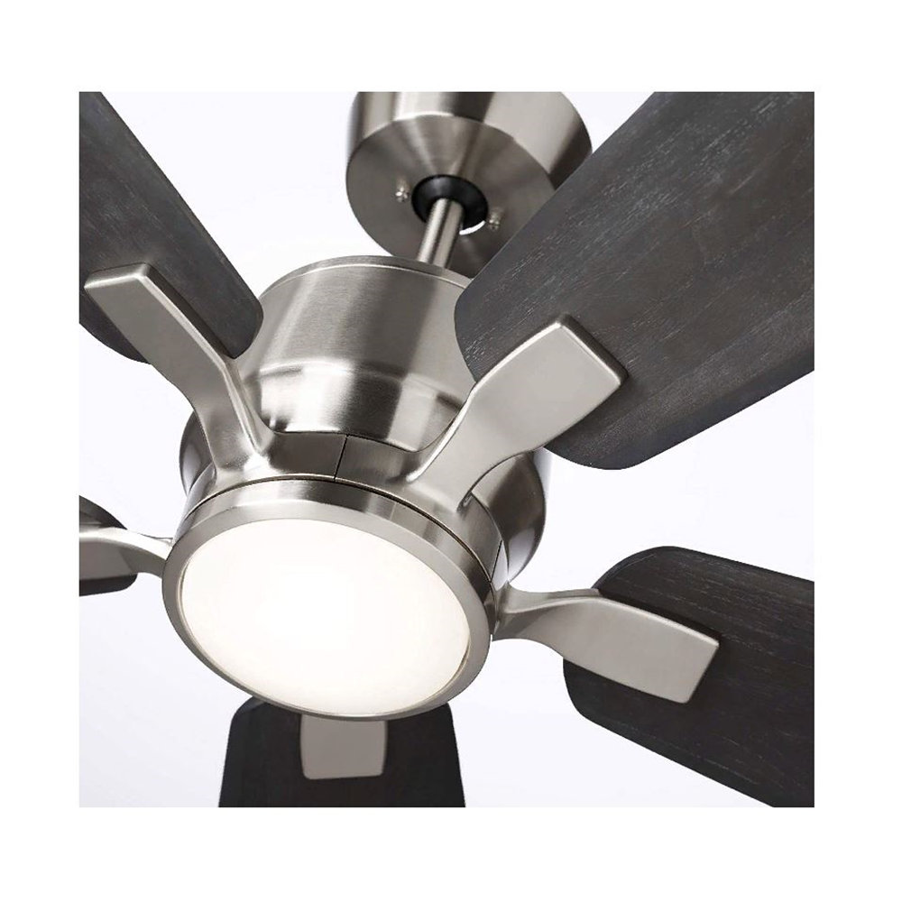 Luminance Brands Ceiling Fan with LED Lights Wayfair