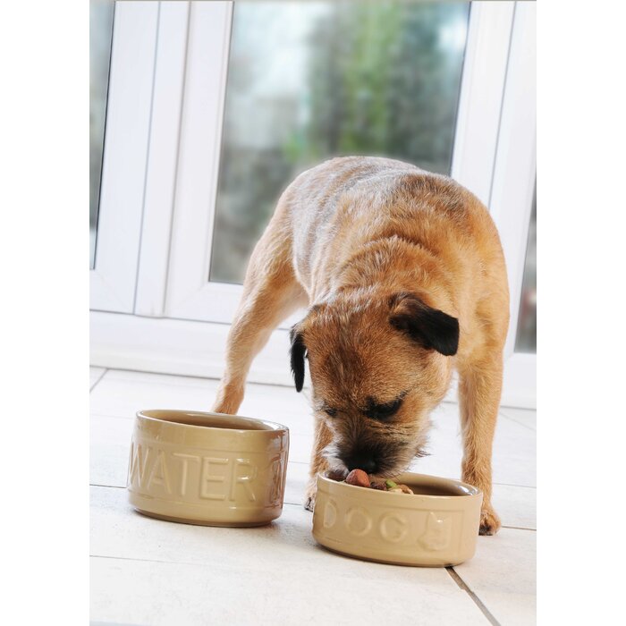 wayfair.co.uk | Cane Lettered Dog Food & Water Bowl