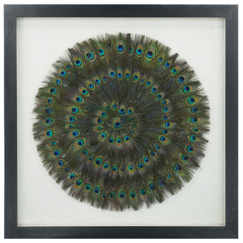 Peacock Feather Shadow Box Wall Decorations - Green Wall Art