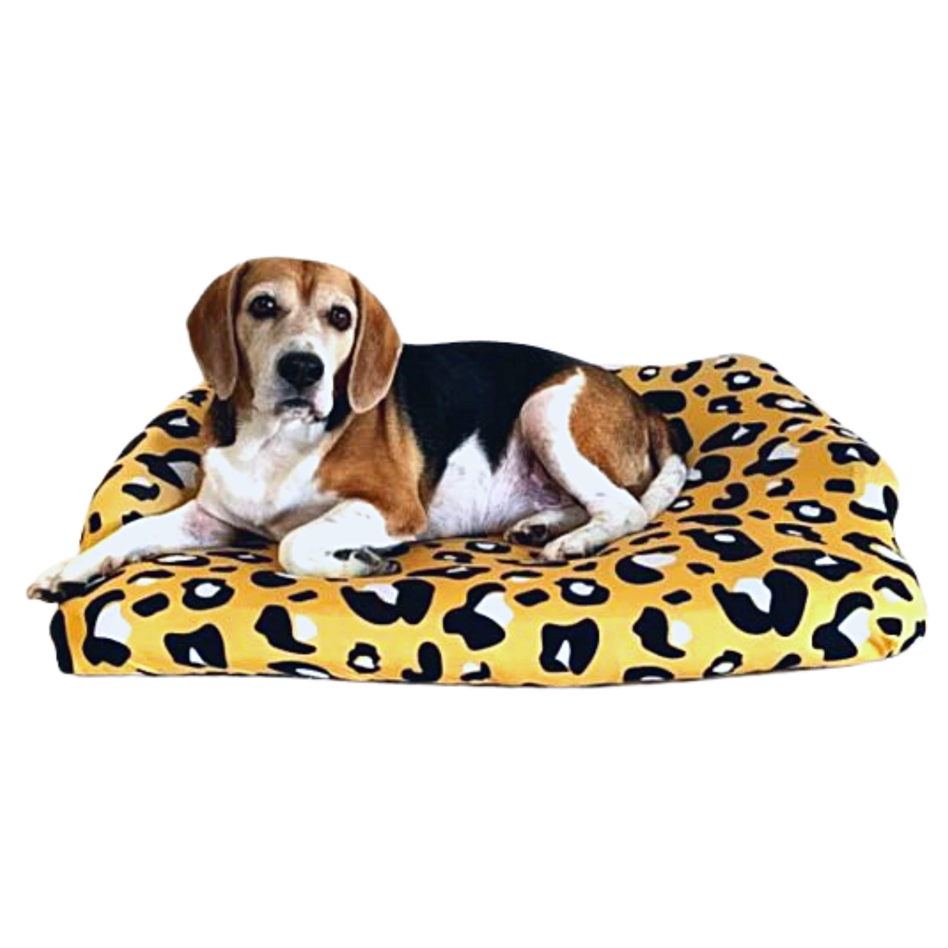 Tucker Murphy Pet™ Washable Pet Bed Covers Wayfair