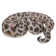 Hi-Line Gift Ltd. CURLED UP PYTHON STATUE | Wayfair