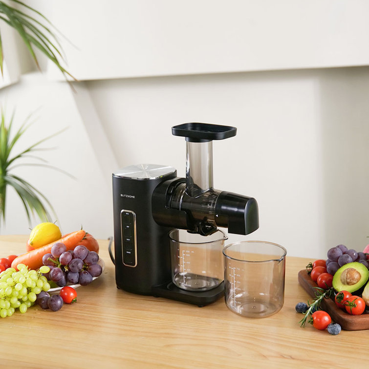 BlitzHome Juicer and Cold Press & Reviews Wayfair
