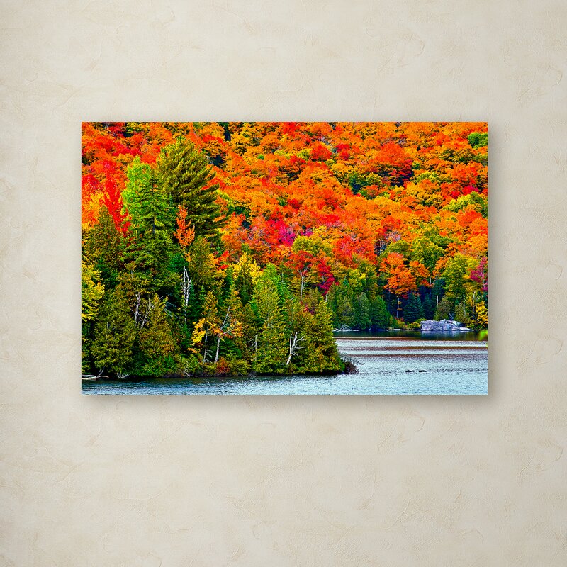 The Lieberman Autumn Landscape by The Lieberman Collection