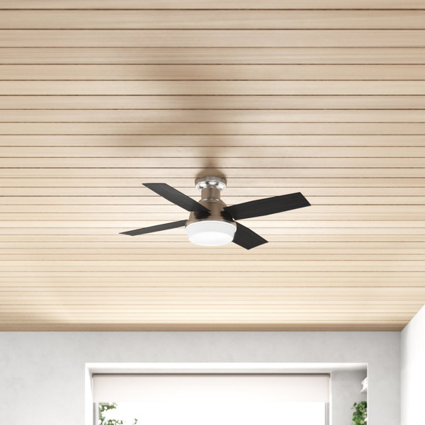 Low Profile Ceiling Fan | Wayfair