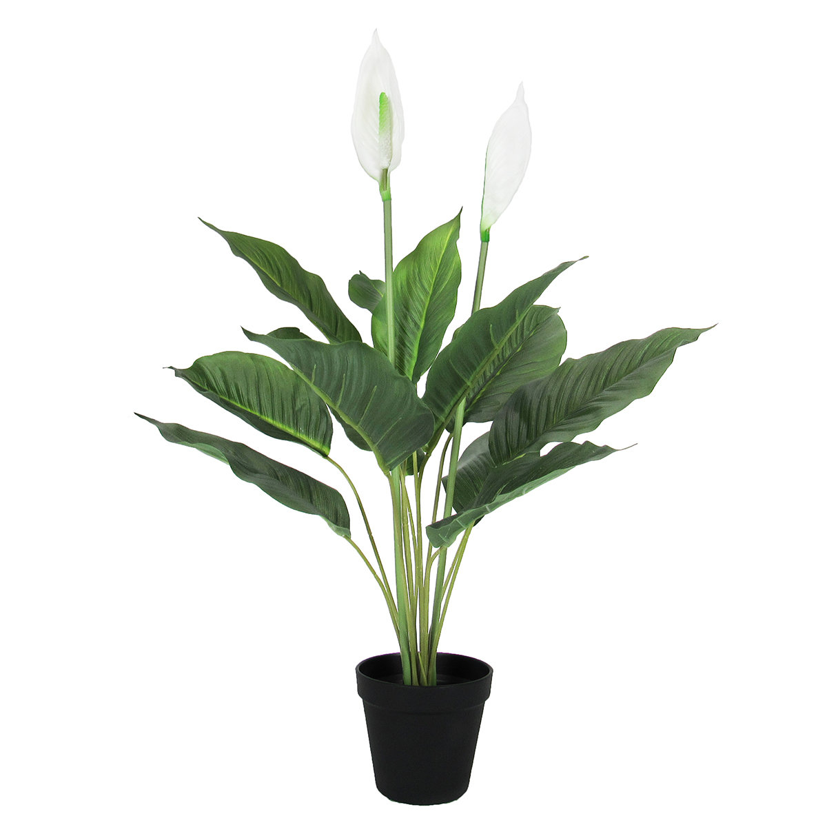 Primrue Artificial Peace Lily Plant in Pot Wayfair