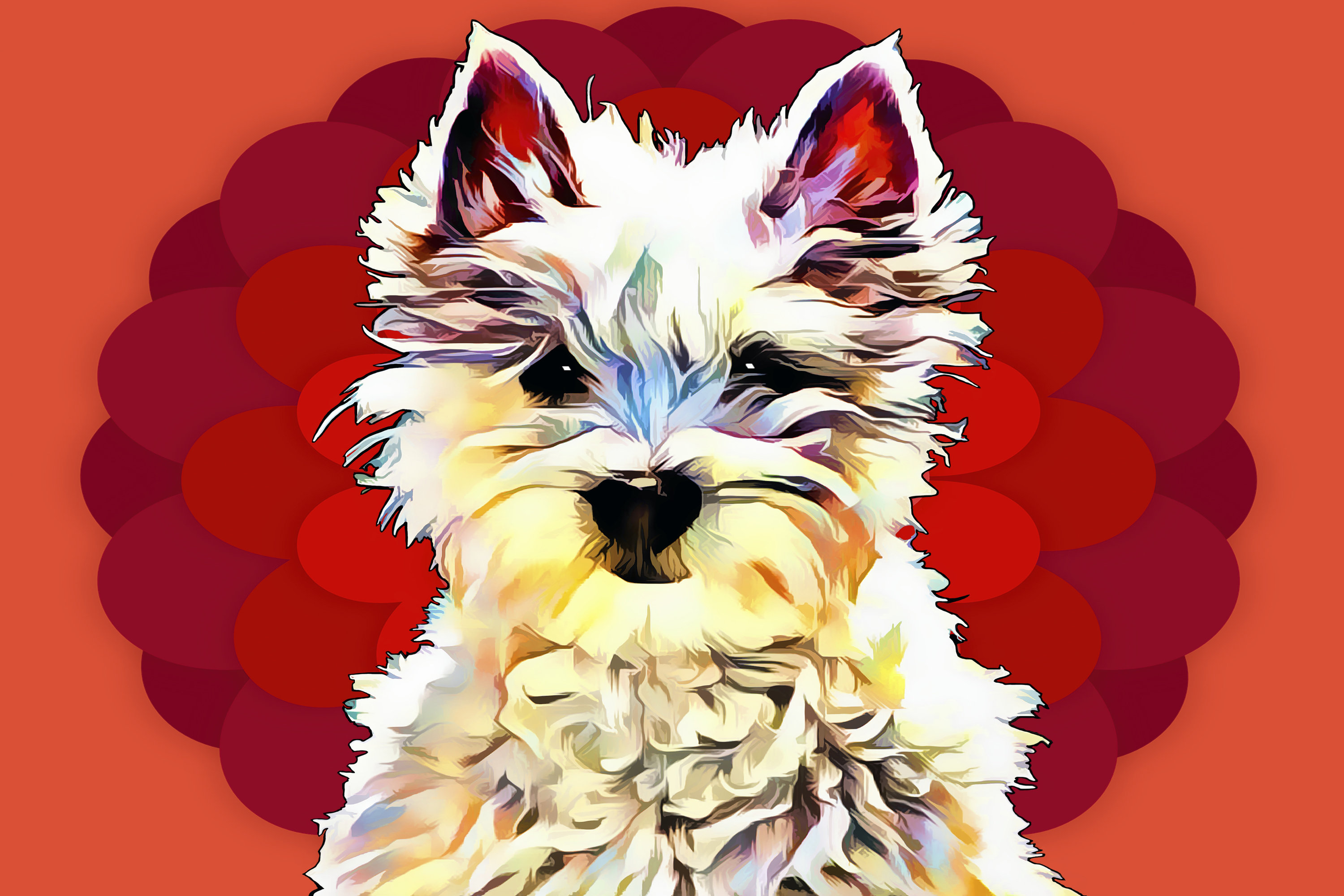 winston-porter-pop-dog-ii-by-kim-curinga-wrapped-canvas-painting