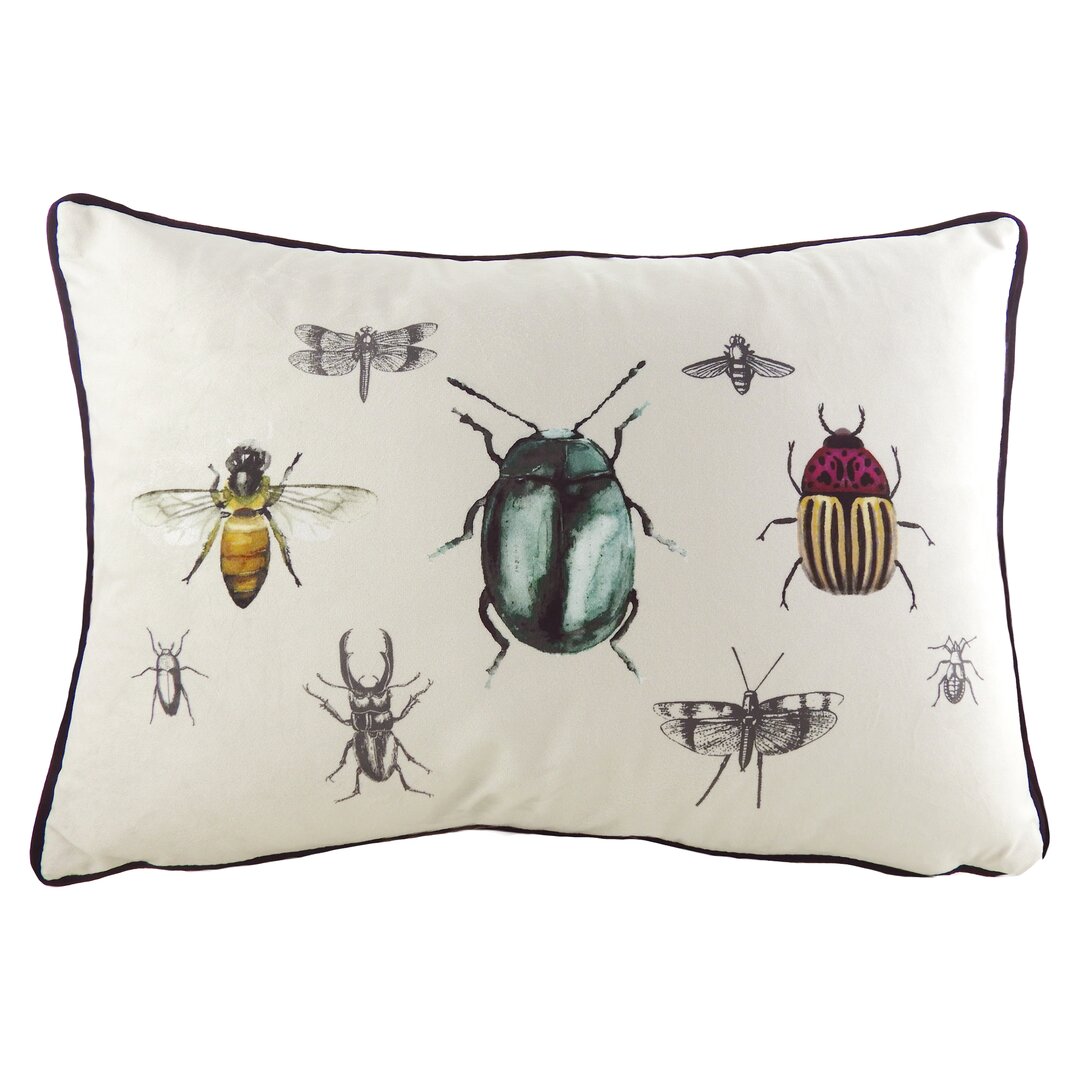 Alphonso Insects Cushion Cover brown,white