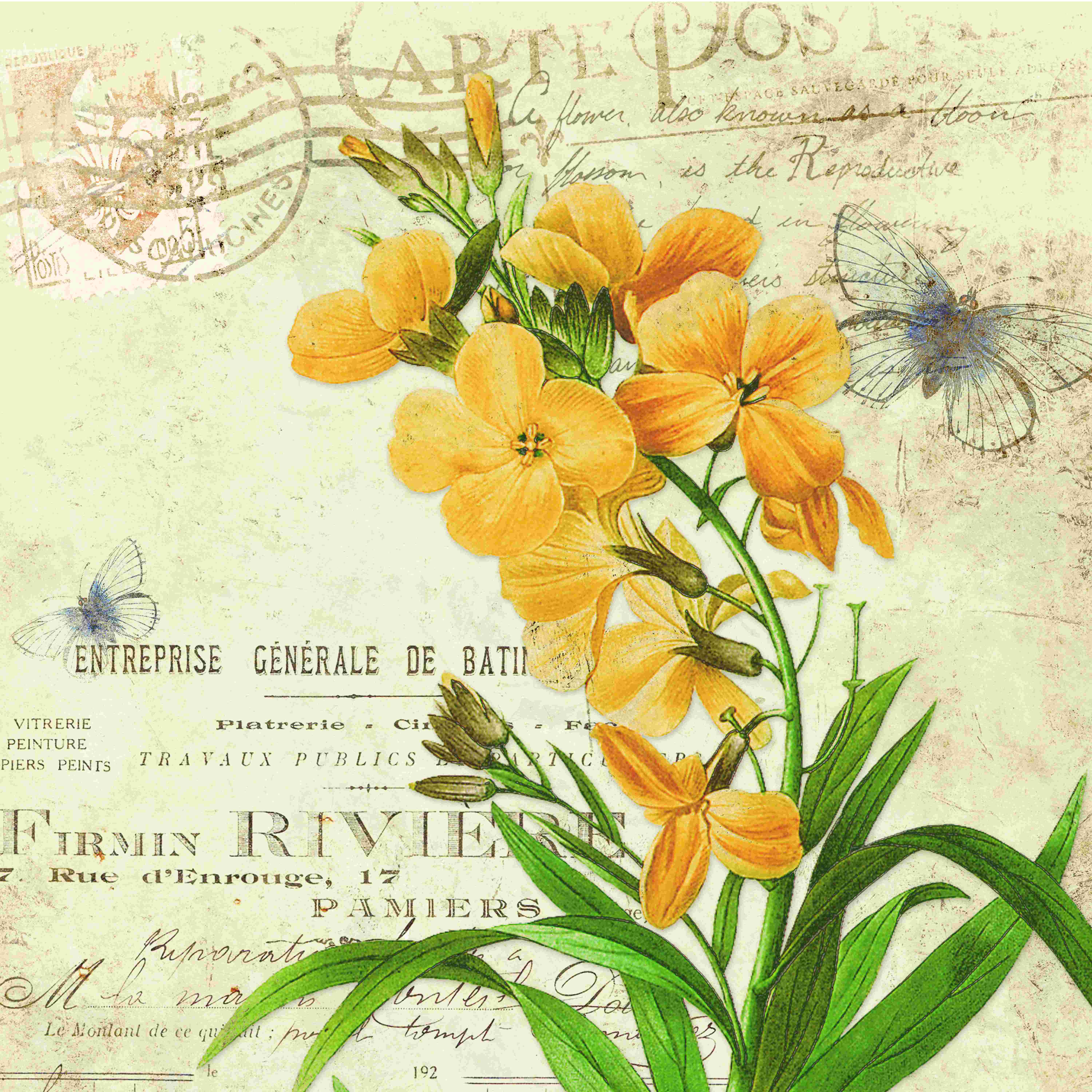 Ophelia & Co. Vintage Wallflower 2 Wrapped Canvas Graphic Art Wayfair