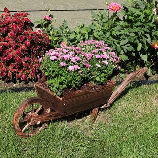 100cm x 39cm x 37cm Wheelbarrow Wooden Garden Planter 
