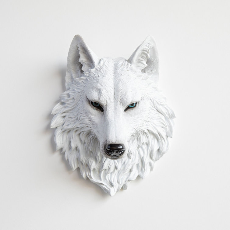 Loon Peak® Faux Taxidermy Wolf Head Wall Décor & Reviews | Wayfair