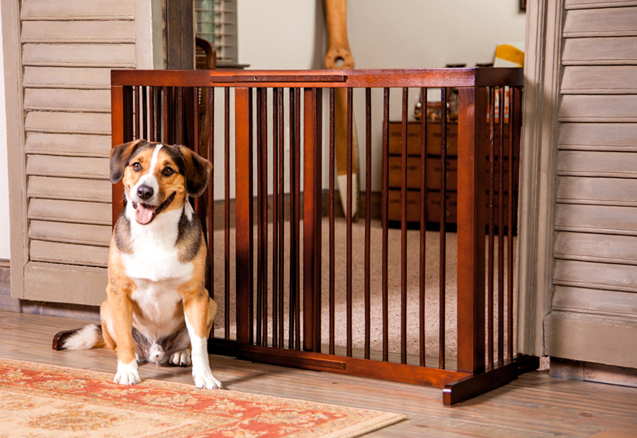 [BIG SALE] Pet Enclosures for Every Space You’ll Love In 2023 Wayfair