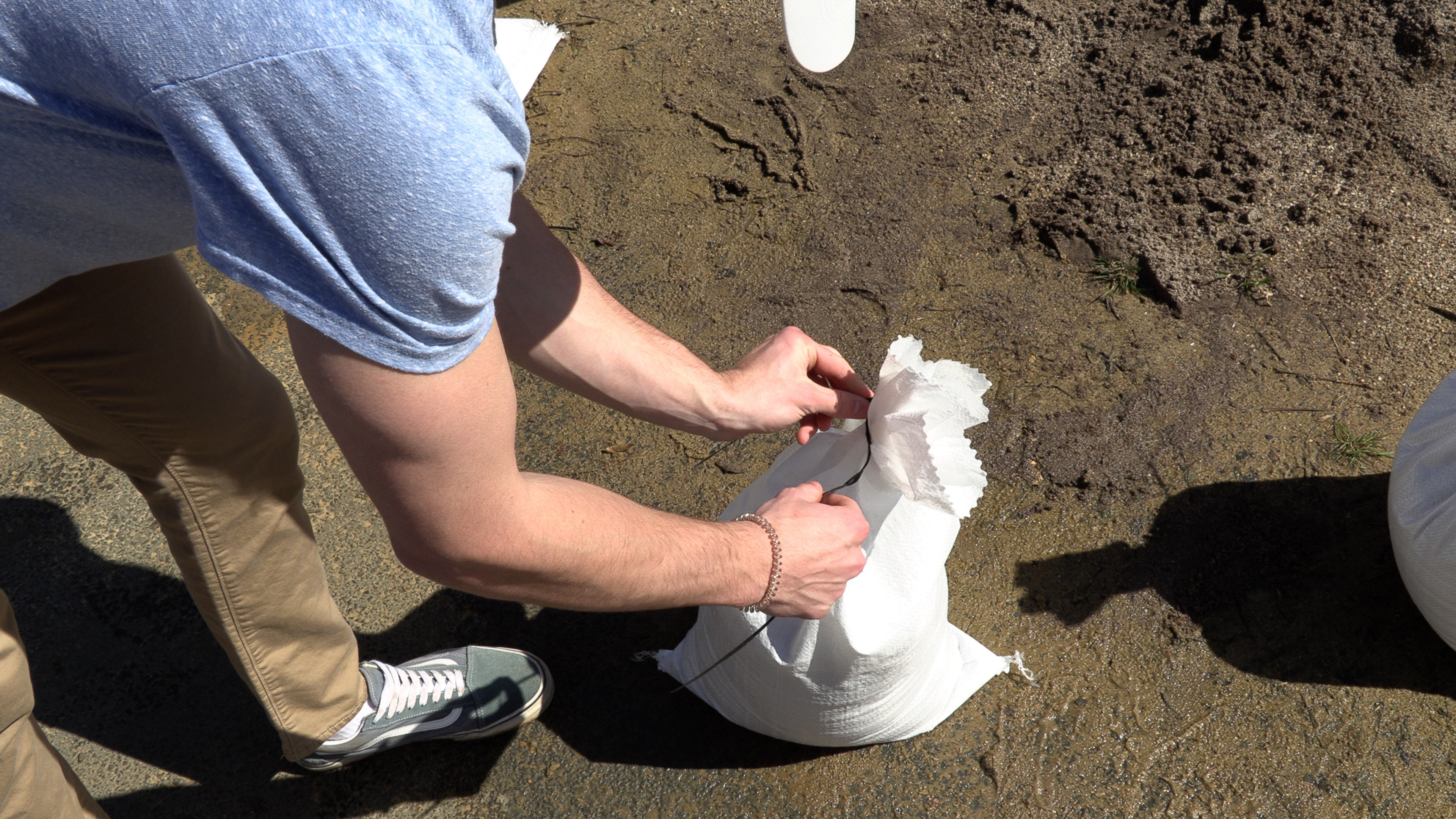 Halsted Sand Bags Umbrella Weight Wayfair