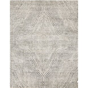Hand-Knotted High-Quality Beige/Grey Area Rug