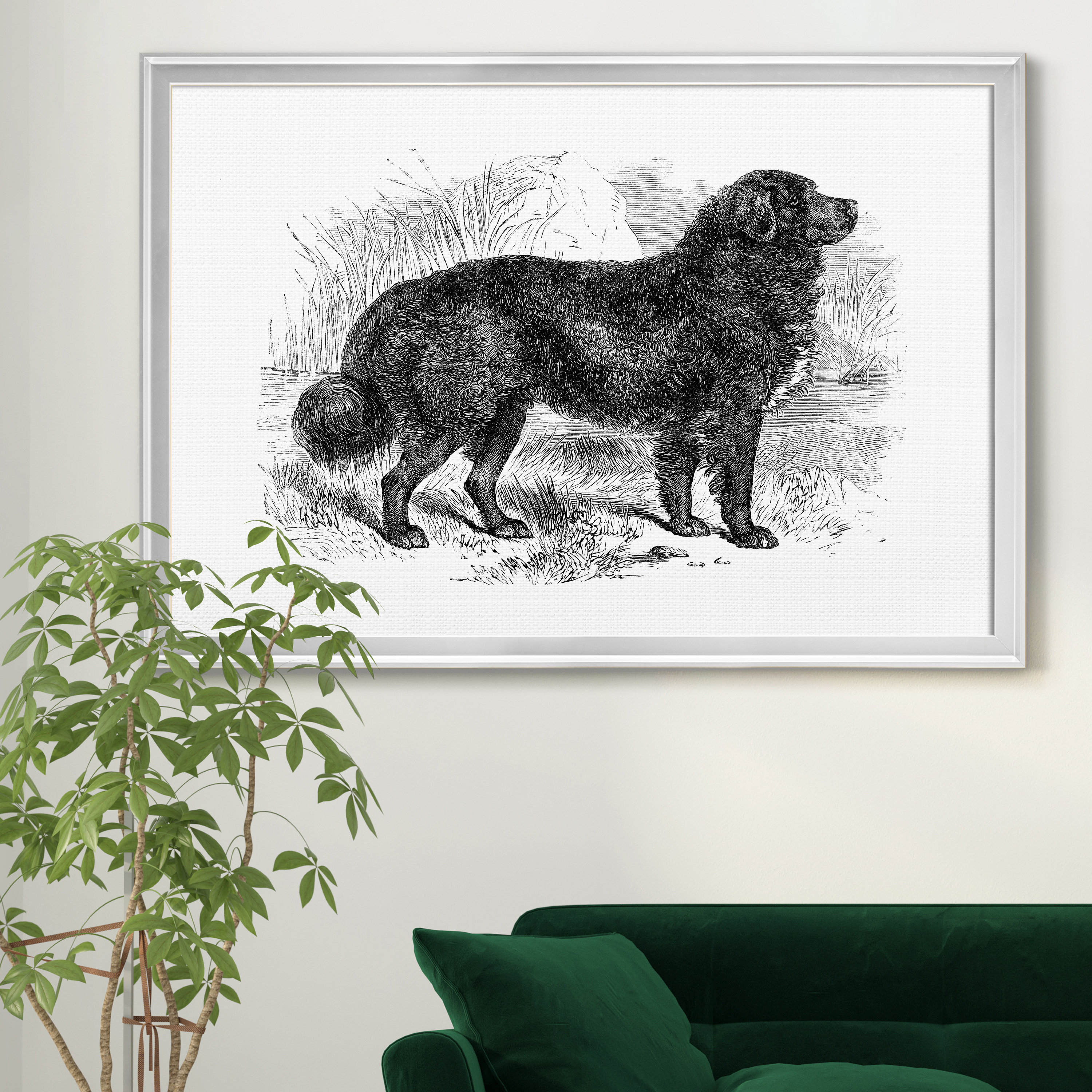 Charlton Home® Newfoundland Wrapped Canvas Print Wayfair