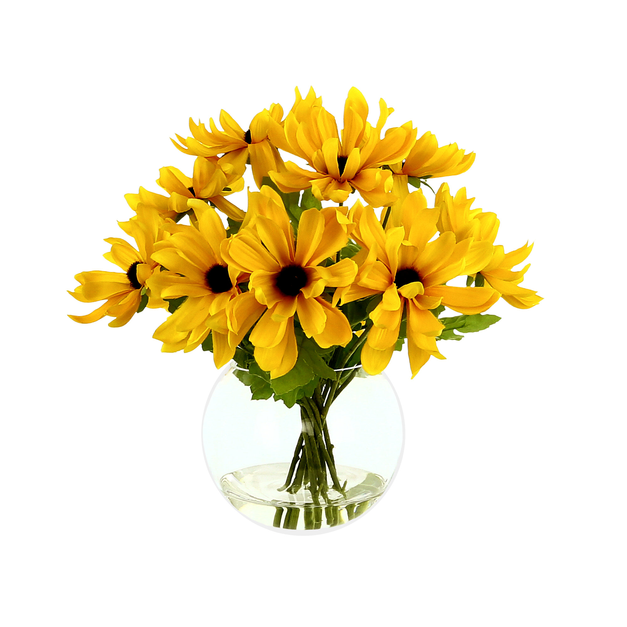 Primrue Rudbeckia Floral Arrangement in Vase Wayfair