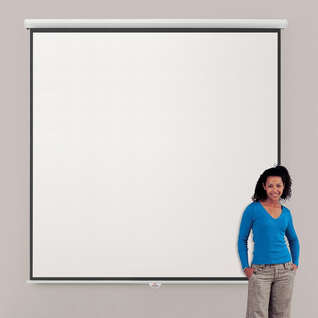 Eyeline Manual Projection Screen white