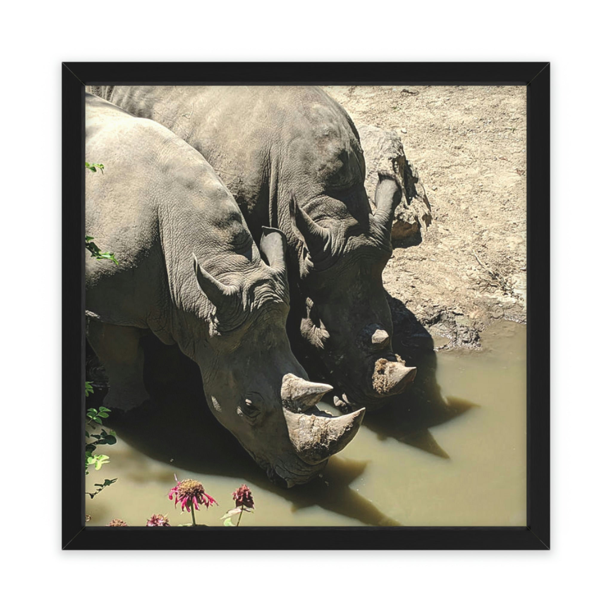 Dakota Fields Rhino Picture Frame Illustration Wayfair