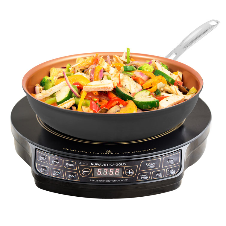 1200 watt hot plate