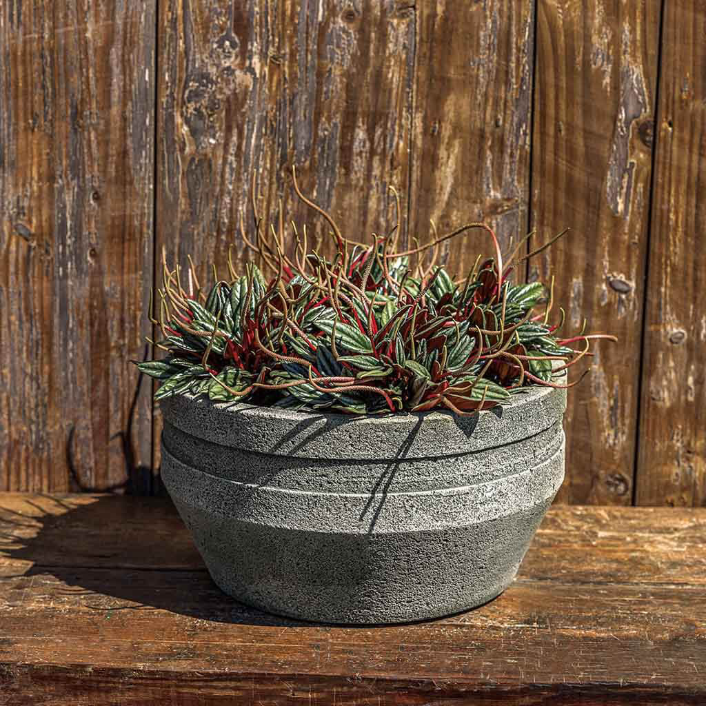 Ophelia & Co. Perillo Cast Stone Concrete Pot Planter Wayfair