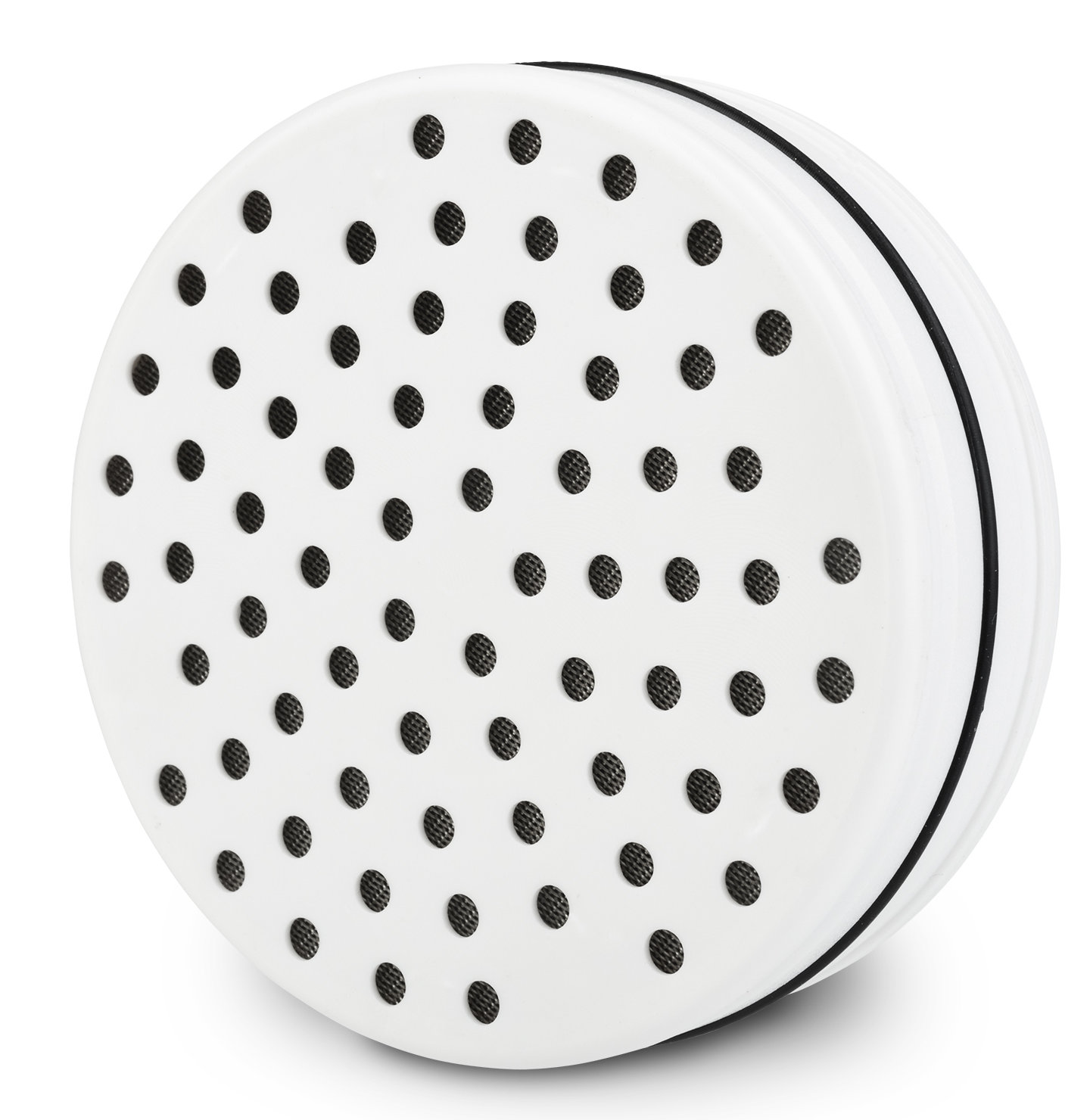 Brondell VivaSpring Shower Replacement Filter Wayfair